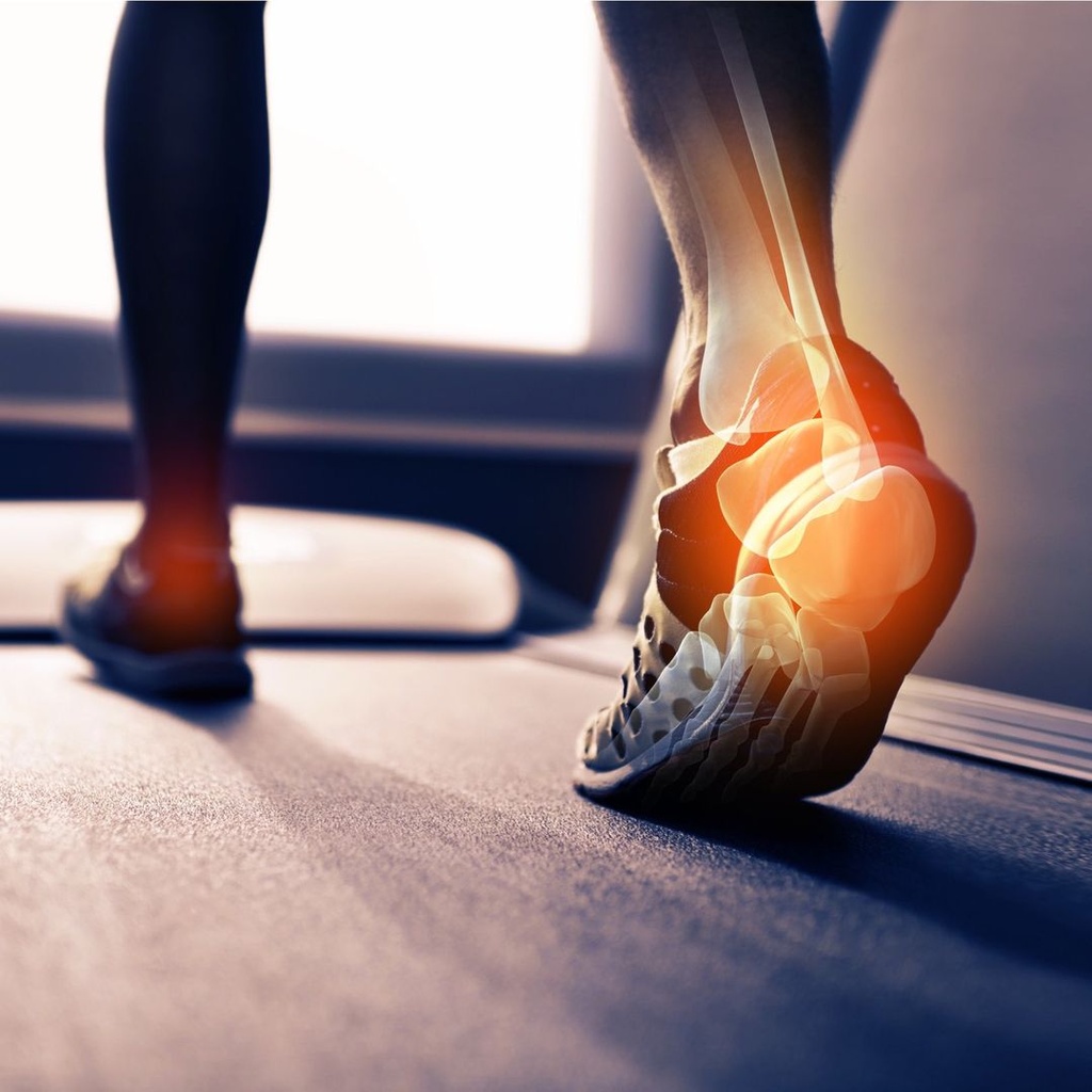 PHYSIOTERAPIEN